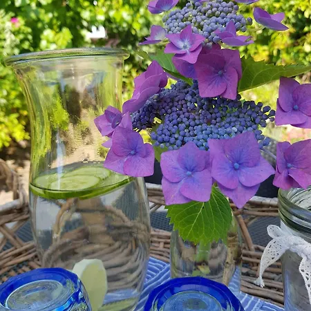 Strandbluete Im Margarethenhof